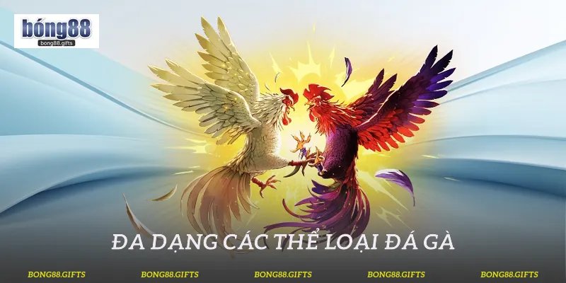 Đa dạng các thể loại đá gà