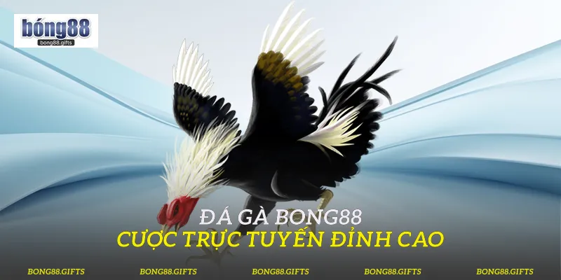 Đá Gà Bong88