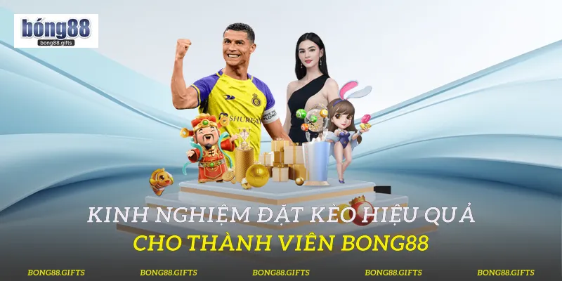 Kinh nghiệm đặt kèo hiệu quả cho thành viên Bong88
